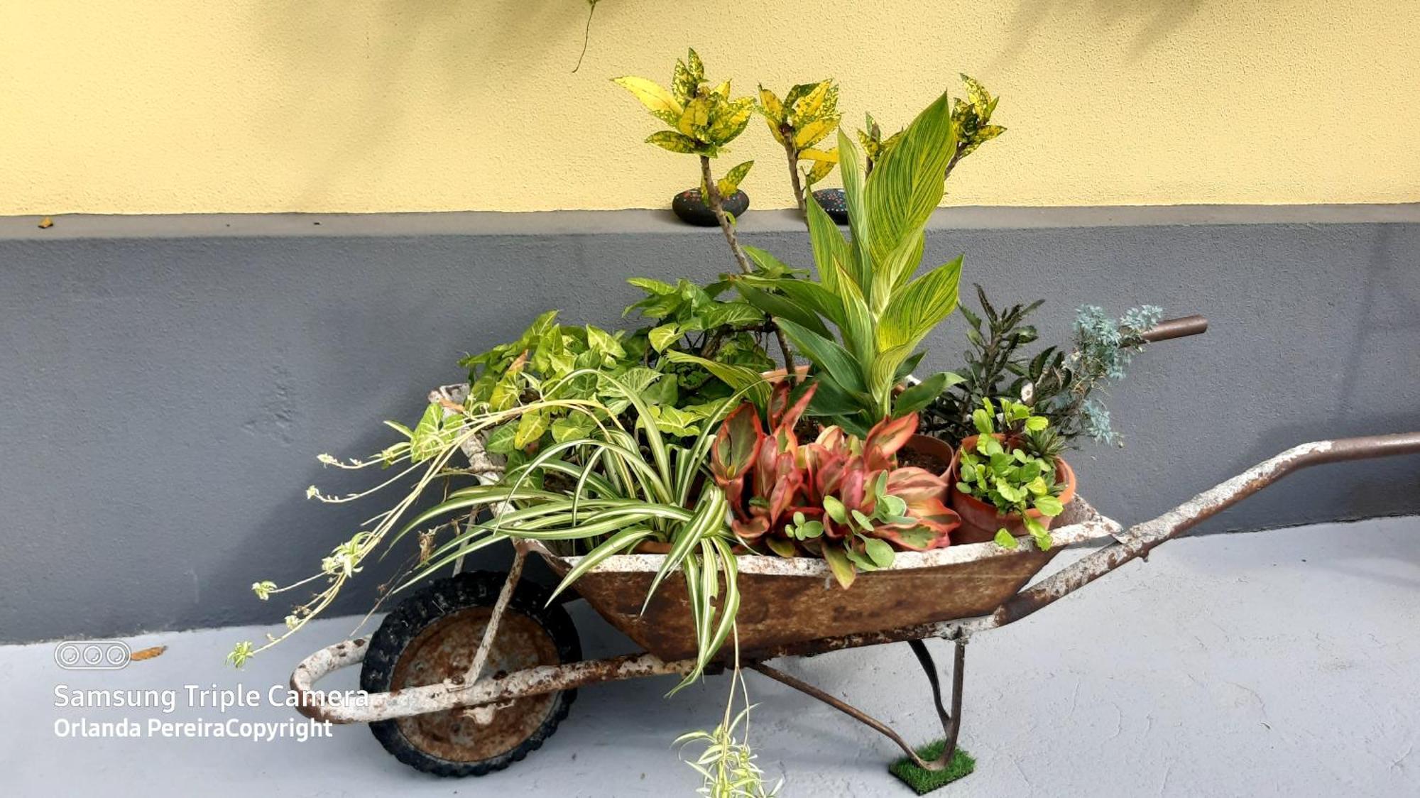 Terra Cha Cottage,Feel Home, São Vicente Kültér fotó